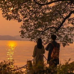 Untold Feelings