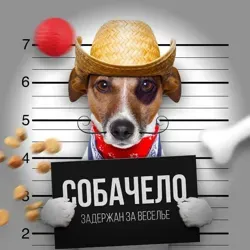 Собачело