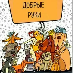 Добрые руки🐾🐾