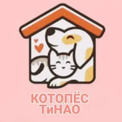 КОТОПЁС ТиНАО