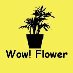 Wow! Flower