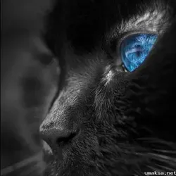 мудрые мысли на каждый день.