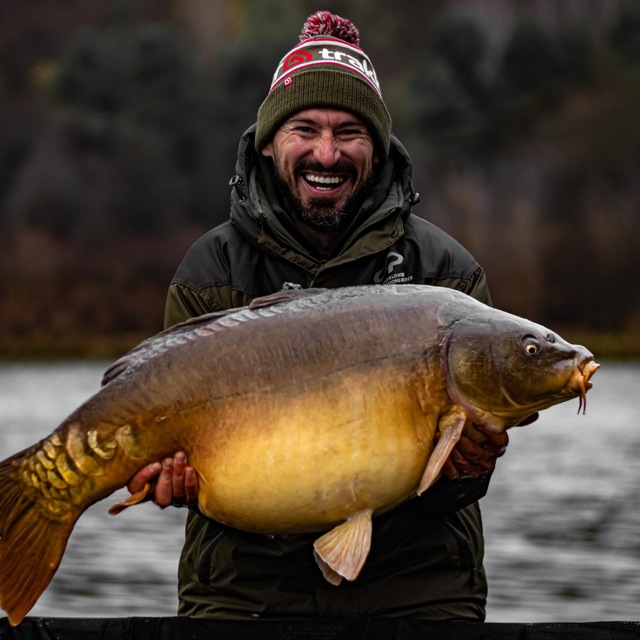Need for Carp