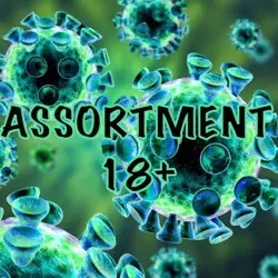 🔞 ASSORTMENT 18+🔞