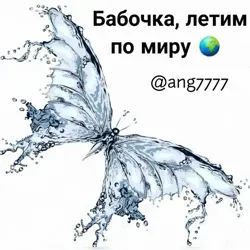 Бабочка, летим по миру 🌍