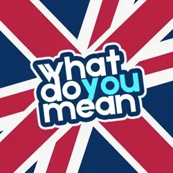 What Do You Mean?