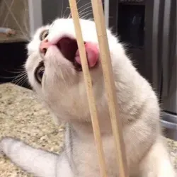 Го чифанить