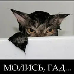 Гад обреченный