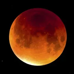 Не опуская взгляд