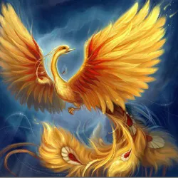 Phoenix OSINT