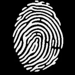 РЫНОК ИРКУТСК