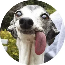 Только Отборные Стикеры