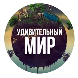 Удивительный Мир 🌍