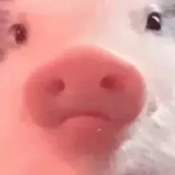 Кремезний пісюн ⇨✙🇺🇦