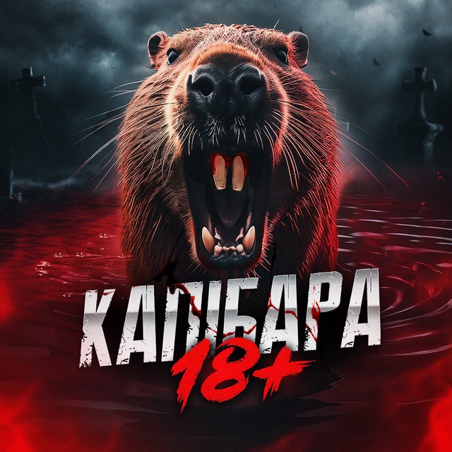 КАПІБАРА | 18+