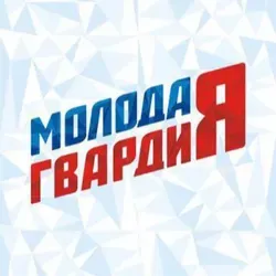 Политический обозреватель