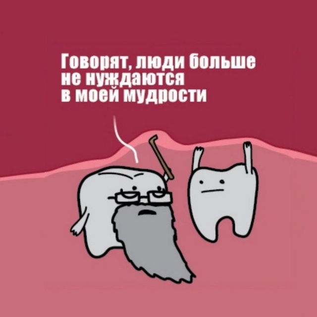 Последний зуб мудрости
