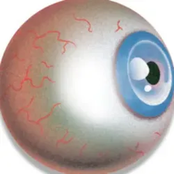 ПИЗДАСТАЛИНА