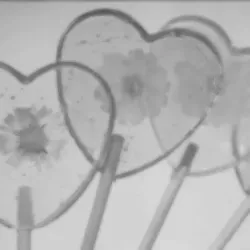 воспоминания