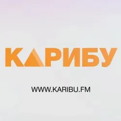 Karibu.today