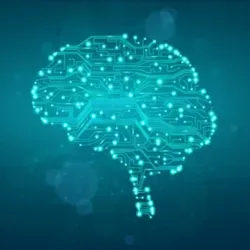 Айтишники заценят