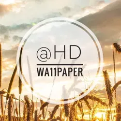 Eᴀʀᴛʜ ? Fᴏᴄᴜs