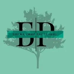 🌳Биржа (Мир Растений) 🌳