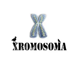 XROMOSOMA