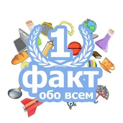 ONE факт