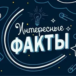 Now you will know English!