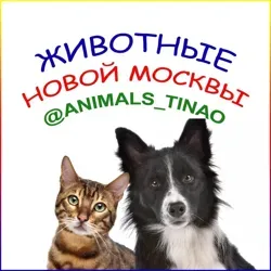 Животные Новой Москвы / ТиНАО