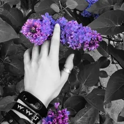 Ⓟ Ⓐ Ⓢ Ⓢ Ⓘ Ⓞ Ⓝ