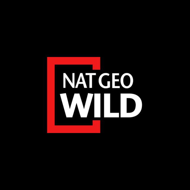 Nat Geo Wild