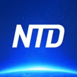 NTD TV
