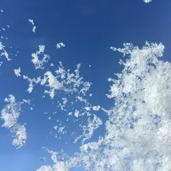 Instagram Views