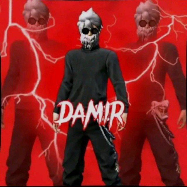 DAMIR СОФФТ