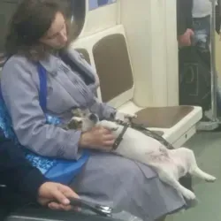 Любовь и героин