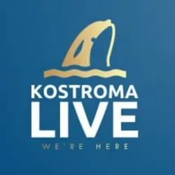 Кострома лайв