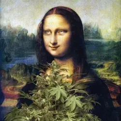 ⚡️💊 PARADISIAC 💊⚡️