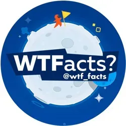 😱WTFacts?