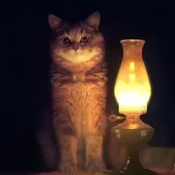 Блог кота сказочника