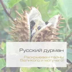 Русский дурман