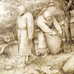 Рудники свободы