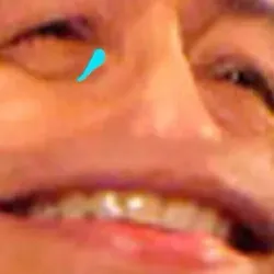 гербер расстроен