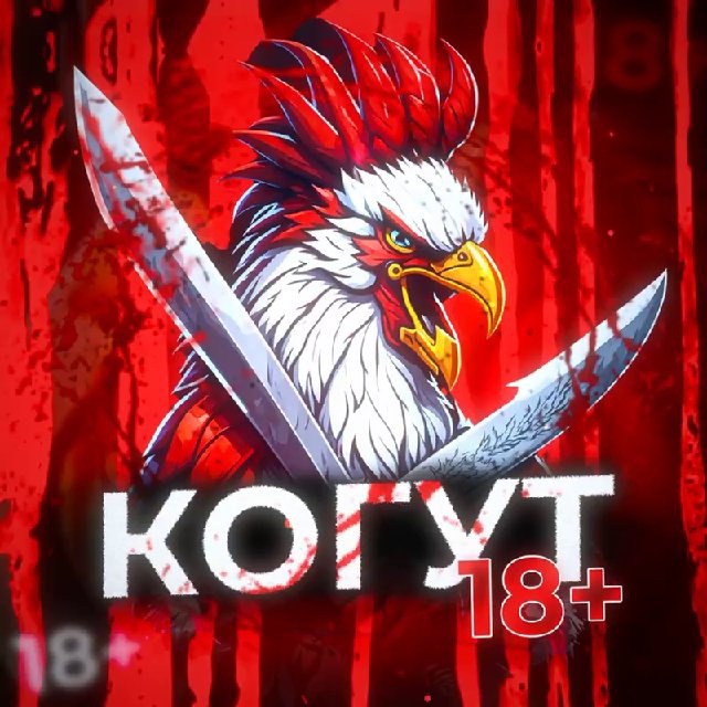 КО́ГУТ 18 +