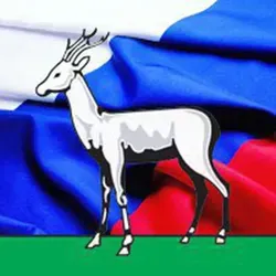 Самарские новости