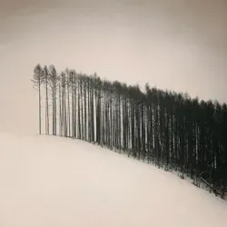 КАПЮШОН