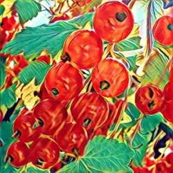 Товары для красоты и здоровья