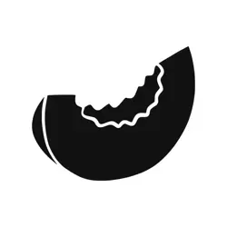 MELON MUSIC RECORDS CHAT