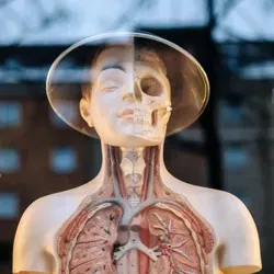 Медицинские Истории